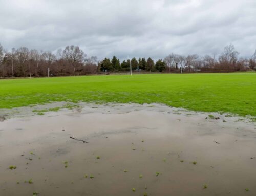 After the Storm: Essential Tips for Storm Cleanup and Potential Dangers to Keep in Mind