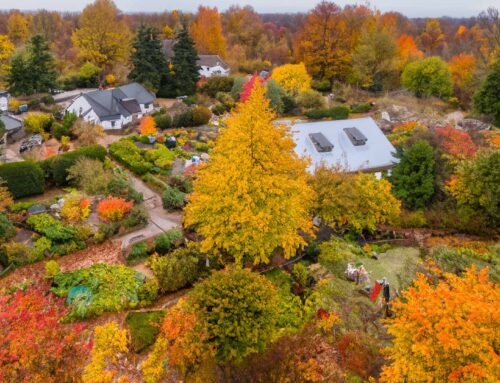 Preparing Your Landscape for Cooler Temperatures: Essential Tips for Fall